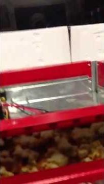 How to replace the glass on your popcorn machine