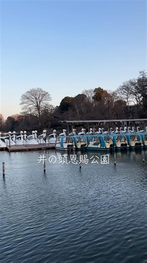 ただの公園だと思ってない？それ、損してる。 東京・吉祥寺にある 井の頭恩賜公園 は、 “都会のオアシス”って言葉がちゃんと似合う場所。 春は桜が水面にこぼれるレベルで咲いて、 ボートに乗れば映画みたいな時間が流れる。 しかもここ、ただ綺麗なだけじゃない。 アーティスト、カップル、ひとり時間 全部受け止めてくれる懐の深さ。 ちょっと歩けば吉祥寺グルメ、カフェ、古着。 1日じゃ足りない、むしろ何回も来たくなるやつ 次はここ行こ！ #春限定コンテスト1 #春休みキャンペーン #TiktokGo #PR #井の頭恩賜公園
