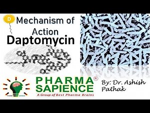 Mechanism of action Daptomycin