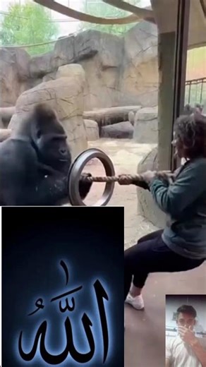 Japan is turning footsteps into clean energy using advanced#allah #1000subscriber #like #😭😭