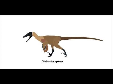 Dinosaur Pack 2 (Pivot)