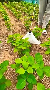 1.2M views · 2.5K reactions | Fertilizer tools #videoviralシ #viralreels #reelsfb #reelsviral #fyp #photo #reel #reels #StarsEverywhere #post | Oumi Yasmine | Facebook