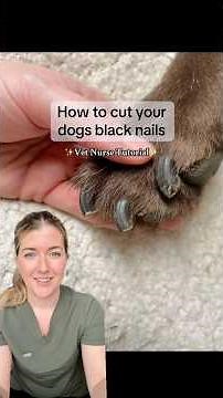 BLACK NAILS?! Here’s how to safely trim them yourself