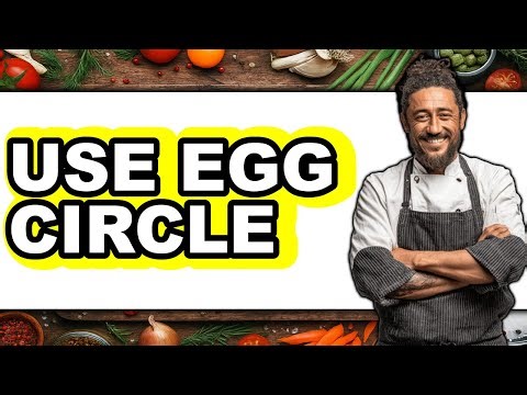 How to Use Egg Circle (Full Guide)