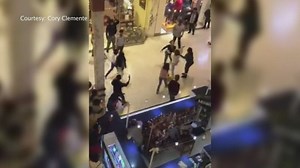 Mall shut down after massive brawl
