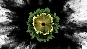 1.3K views · 11 reactions | Serna & Associates...