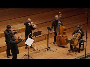 Brahms / Ungarischer Tanz Nr. 5 / Philharmonie der Solisten / Hungarian Dance No. 5 / München