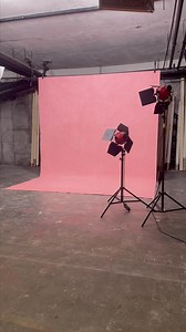 🚨 Warning: this backdrop is in high demand! 👀 Daily orders are rolling in and we're almost sold out. Grab it for your studio now, before you see it everywhere else... 📸💔 | ZOOM Backdrops