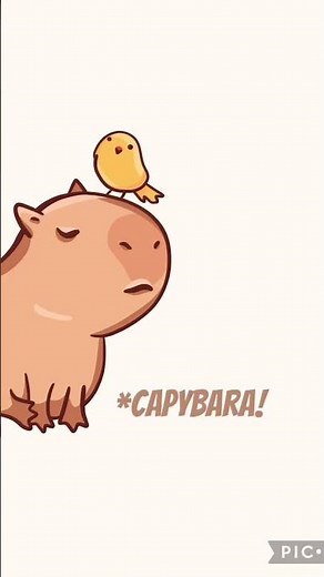 Capybara Song Official Music Video! (*CONCEPT*)