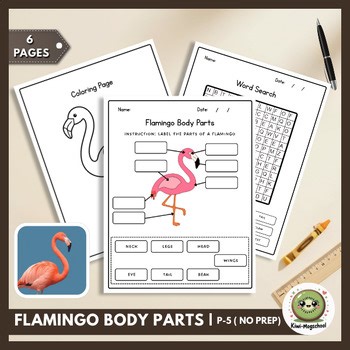 Flamingo Body Parts Anatomy Labeling | Wetland Birds & Tropical Science (No Prep