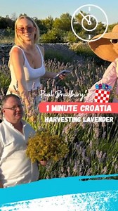 What is your definition of Paradise? Standing on top of Croatia's sunniest island at 7am enjoying a hearty grill after a busy morning of aromatic lavender harvesting must come pretty close. | Total Croatia News
