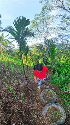 toothless Otaku (@toothless_otaku)’s videos with original sound - toothless Otaku