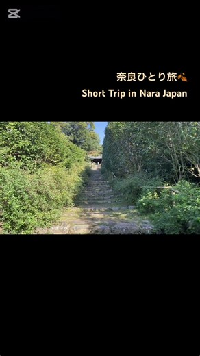 人混みを避けたいアラサー女、奈良ひとり旅🏃‍♂️
