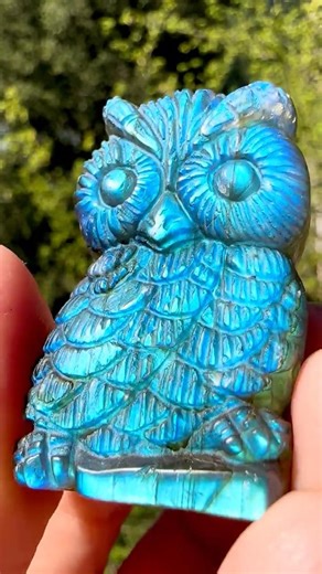 🤩 Magical Owl Labradorite