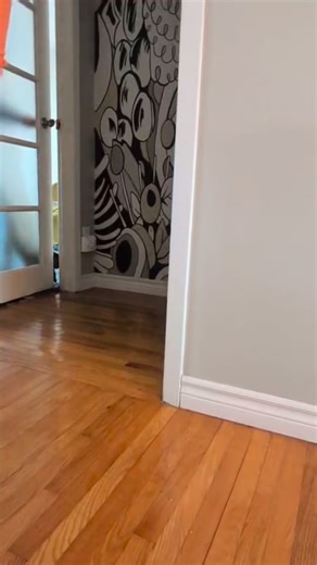 Meet Dory: The Speed Demon with a Heart of Gold ​If you’ve been looking for a roommate who is 10% legs and 90% personality, look no further. Dory is officially on the market, and she’s ready to zoom her way right into your heart. ​Dory might not be a champion high-jumper or a professional curtain-climber, but she doesn’t let a little thing like “non-functional back legs” slow her down. In fact, Dory has mastered the art of the front-wheel-drive lifestyle. She is incredibly fast, surprisingly agi