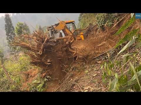 The Big Tree Root Struggle-Mountain Road Construction Obstacle