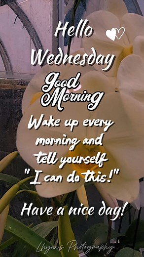 Hello Wednesday - Good morning Wake up every morning and tell yourself: "I Can Do This" Have a nice day! 🌹🙂🩷 Everyday HOPE and Quotes #highlightseveryone #goodmorning #wednesdayvibes #fbreels #icandothis #itsanewday #SpreadPosivity #lhynnsreelcreation #everydayhopeandquotes #lhynndeguzman #lhynnsphotography | Everyday HOPE and Quotes