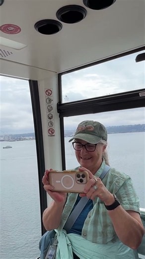 Seattle Waterfront Views from the Great Wheel | Alaska Cruise Kickoff