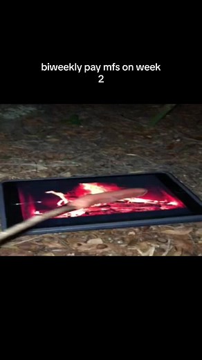 Understanding Biweekly Pay: Week 2 Explained