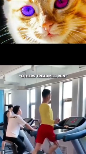 Watch the funniest treadmill challenge with Cay 😂🔥 Perfect meme vibes, troll face moments & viral fu