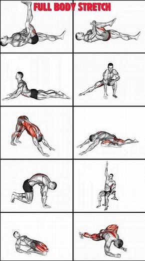 Top 10 Full Body Stretching Exercises| #workout #stretching