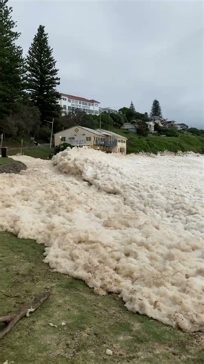 Ինչու է ծովափնյա փրփուրը վտանգավոր