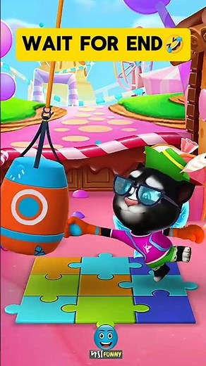 Cat Boxer Training 😂🥊 | Funny Vdieo Boxing Practice | Cute Cat Shorts