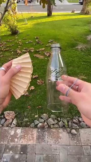 Easiest science fair project!