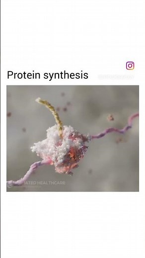 protein synthesis animation🩺 #animation #biology