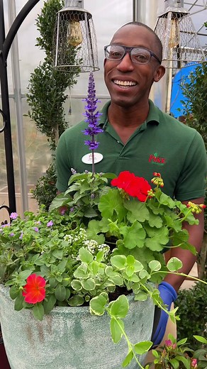 Spring plants that last through summer! Seeking a spring container garden that keeps on giving? Look no further! Our thoughtfully curated selection promises enduring beauty from spring to summer, following the time-tested thriller, filler, spiller formula: 🌺 Thrillers: Add height and drama with annual purple salvia and heat-loving geraniums. These vibrant picks not only attract pollinators but also thrive through summer heat. 🌸 Fillers: Bacopa and alyssum fill your pot with delicate blooms and