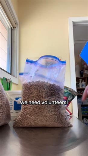 Make a difference for the rabbits by becoming a volunteer with HRS! We have roles for all abilities and experience levels, including remote roles. Submit a volunteer application today at houserabbit.org/volunteer #rabbit #bunny #volunteer #houserabbitsociety | House Rabbit Society