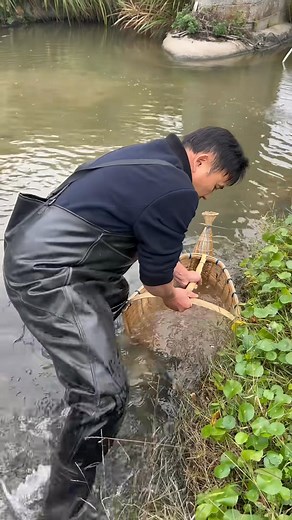 My Country Life Catching Fish Can Be Easy Fishing Process | Anhnongdanth