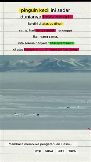 pinguin #faktaunik #didyouknow