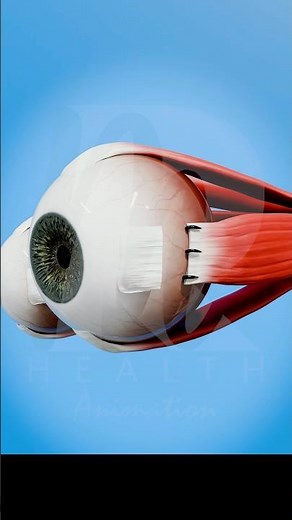 "👀✨ See the World Clearly: Squint Explained & Treated! #eyes