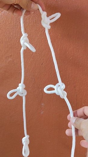 10K views · 155 reactions | Very simple loop knot/ Ideas of tying Alpine butterfly loop. #ropeladderknot #climbingnet #lashingknot #knottying #reels #bowlineknot #tyingknots #essentialknots #knots #shorts | Millie | Facebook