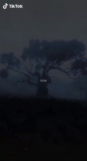 حسابات مقترحة