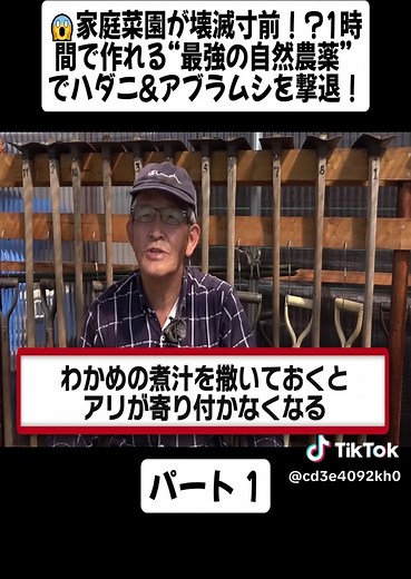 ハダニやアブラムシを撃退！1時間で自然農薬を作る方法！家庭菜園で使える害虫対策や農薬の使い方も解説【農家直伝】/ 1hour ! How to make natural pesticides パート1 #kateisaien #家庭菜園 #農園 #栽培 #農業 #ガーデニング #Garden #農家直伝 #家庭菜園ライフ #viral_video #foryoupage❤️❤️ #fyp #japan