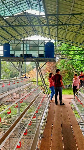 658K views · 13K reactions | Congrats to our new Layer poultry business partners for 2025☝️ HAPPY FARMING MGA KA PARTNERS & GOD BLESS. | Mindanao RTL Chicken Package | Facebook