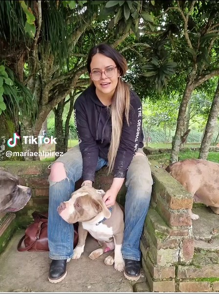 #ameicanbullylife #americanbully #bully #rottweiler #americanbullyofficial