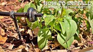 Watch How to Install Raindrip 1/2 gallon Drip Emitter on Amazon Live