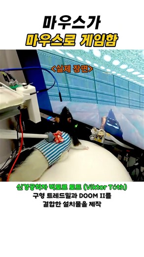 마우스가 마우스로 게임함