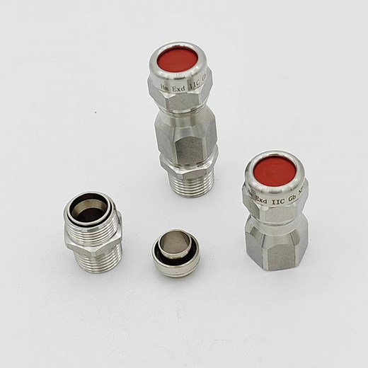 [Hot Item] Double Compression Cable Gland for Armoured Cable NPT1/2