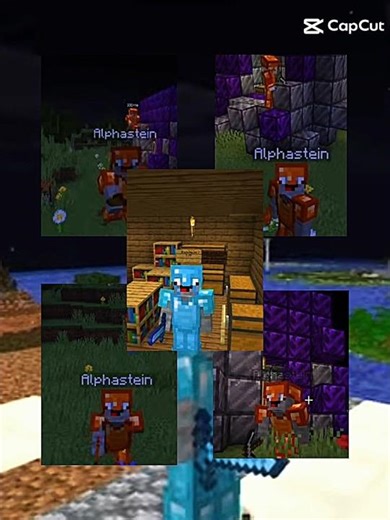 ‪@Alphastein‬ #edist #minecraft