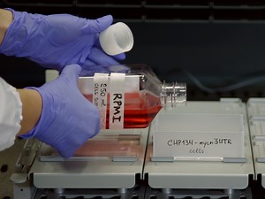 High-throughput Screening for Chemical Modulators of Post-transcriptionally Regulated Genes