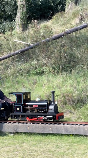5” MINIATURE NARROW GAUGE STEAM LOCOMOTIVE 🚂 #miniaturerailway #modelengineering