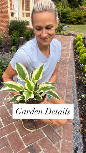 17K views · 2.9K reactions | I’ve been so busy scratching away at the...