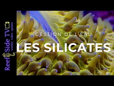 Gestion de l'eau - Les silicates