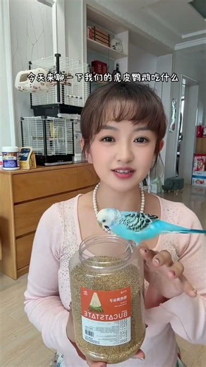 🦜Macaw Parrot Sound ( Singing and ! ) #shortsParrot sound effects🦜 | Animals| Parrot Sound