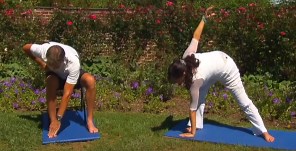 Healthwise Exercise TV, Producers of Functional Fitness on PBS TV Launch Streaming Fitness for 50