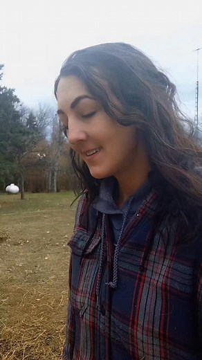 It's hard pretending to be a normal person 🤣 #animallover #cow #pig #friends #fyp | Dakotafunnyfarm